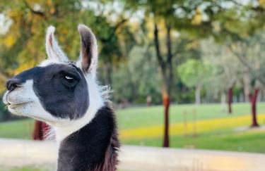 Monte do Lago, Pegões - Foto 59