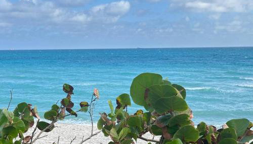 Cozy studio in Hollywood, FL - Foto 2