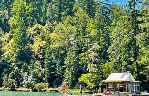 Mendocino Redwood Retreat Home & Cottage - Foto 59