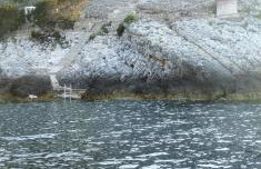 House on Punta - Photo 34