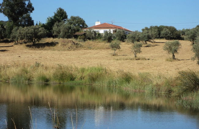 Quinta Retreat With Pool and Olive Grove - Foto 64
