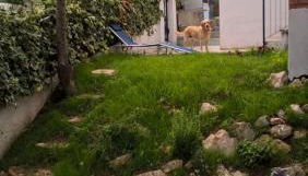 Casa Lido zia Frankie - Foto 5