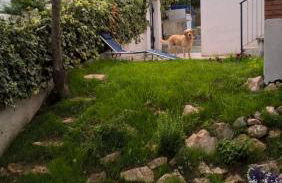 Casa Lido zia Frankie - Foto 5