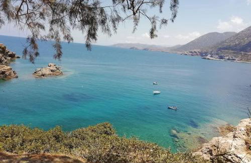 Carpe Diem Apartment - Foto 14