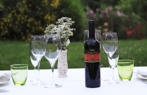 Agriturismo Gaggioli Borgo Delle Vigne - Foto 84