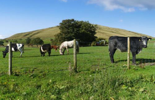Shepherds Hut - Uk50043 - Foto 13