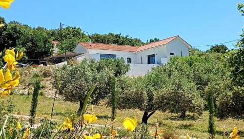 Villa Katerina Kefalonia - Foto 2