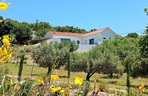 Villa Katerina Kefalonia - Photo 2