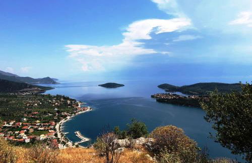 Blumenhaus (Spiti Louloudia) - Foto 41