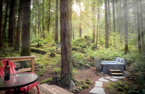 Treetop Hideaway, Sleeps 2 - Foto 22