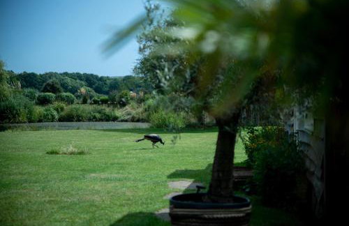 Wonderland Sussex - Foto 22