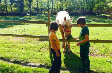 Eco Urbión - Foto 25