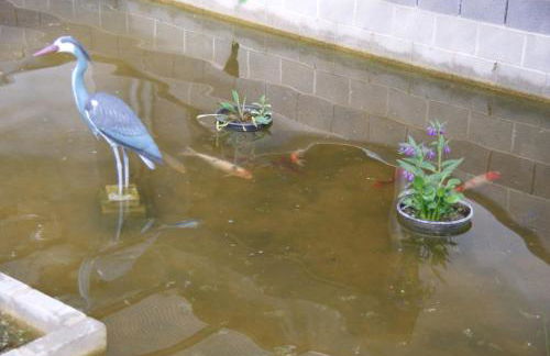 Ferienwohnung "Mosel" - Foto 48