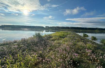 Ferienwohnung Stadtblick - Foto 22