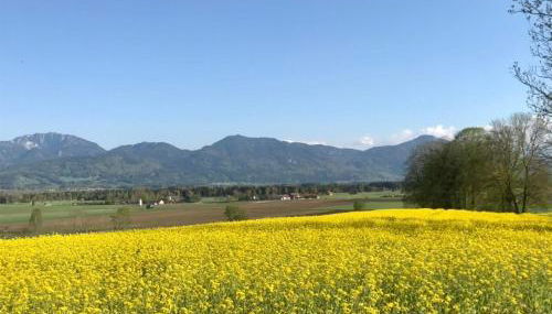 Liebling's Platzl - Foto 2