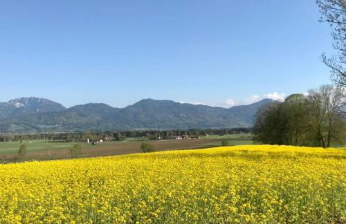 Liebling's Platzl - Foto 2