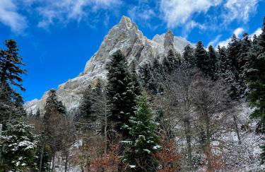 Chalet cosy dominant le village - Foto 63