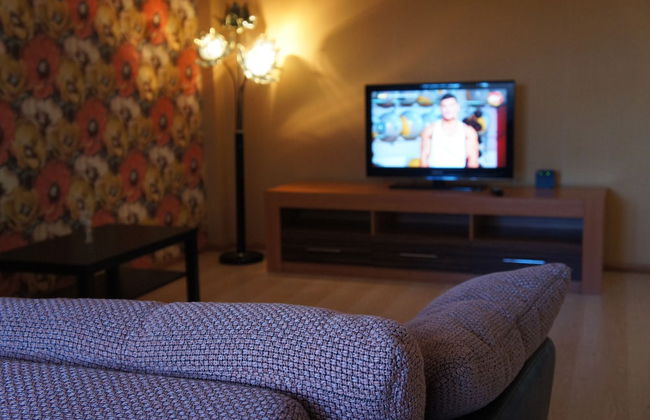 Hotel in Apartment Irkutsk - Photo 71