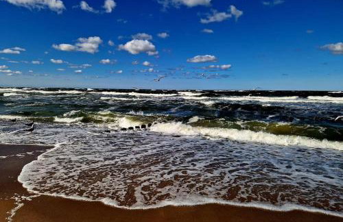 Ferienhaus Diana mit Sauna und Whirlpool Polnische Ostsee - Photo 49