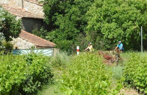 Maison dans les vignes - Foto 35