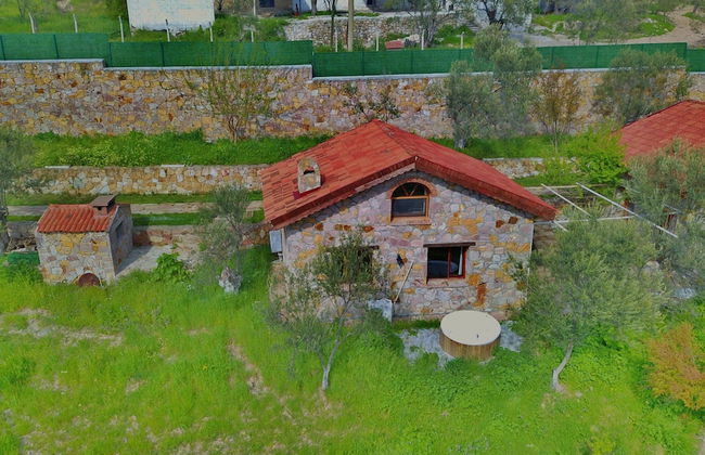 The Mira House - Photo 2