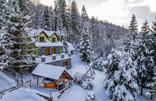 LEŚNE ZACISZE Wisła - Jacuzzi, Bacówka, Niesamowite Widoki - Foto 43