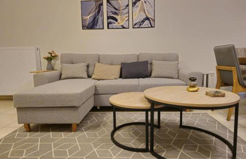 Pilea Comfy Home - Photo 4