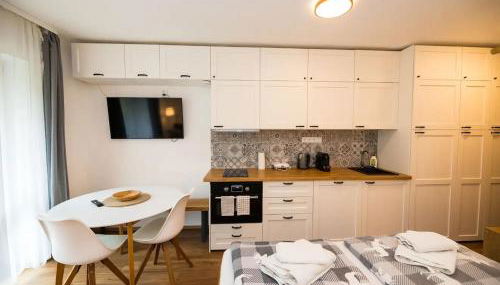 Studio Sumava-Bayerischer Wald - Foto 4