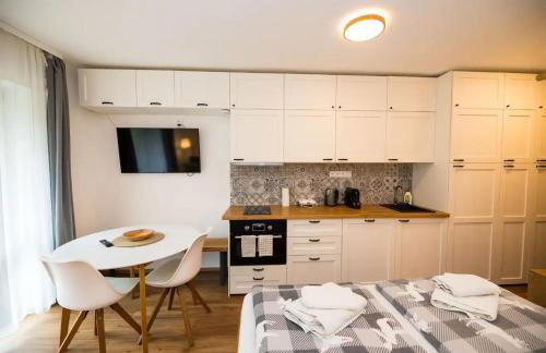 Studio Sumava-Bayerischer Wald - Foto 4