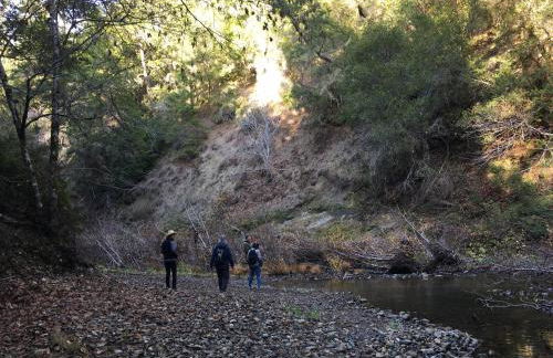 Pescadero Creek Inn - Foto 27