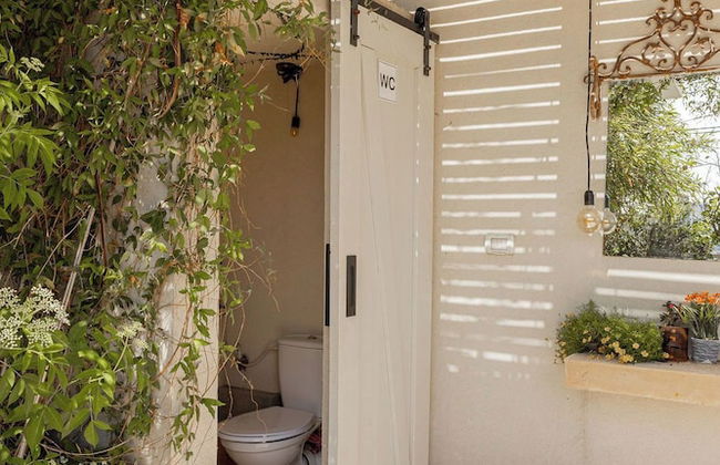 Terasa TLV - Foto 37