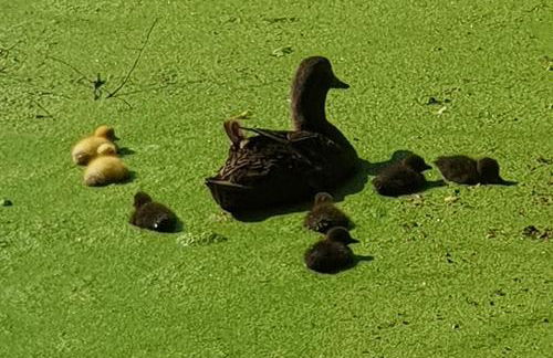 Residence Schneiderhof - Foto 19