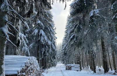 Apartment mit Wintergarten und Terrasse in ruhiger Lage im schönen Taunus - Foto 49