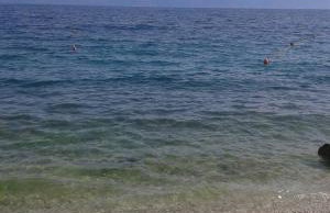 Sobe Stanković - Foto 24