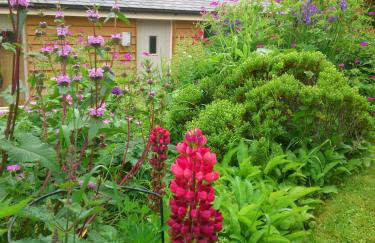 The Steppes Holiday Cottages - Foto 17