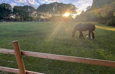 Sunset Retreat - Photo 26