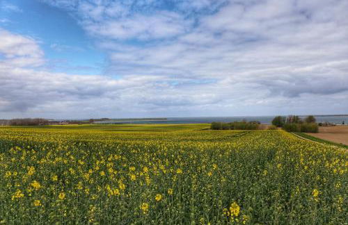 MOIN & AHOI Ferienwohnung - Foto 34