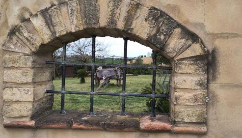 Il Casale dello chef - Foto 4, Garden