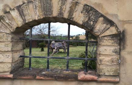 Il Casale dello chef - Foto 4