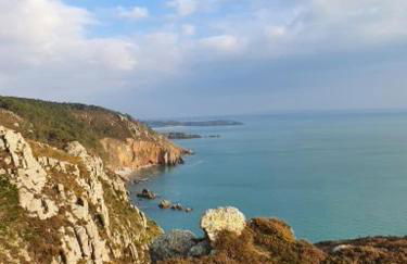 Gites de lardanva - Foto 39