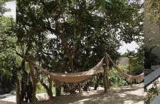 Flat topo da montanha 506 - Foto 7