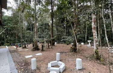 Bosque na Montanha Encantada - Foto 9