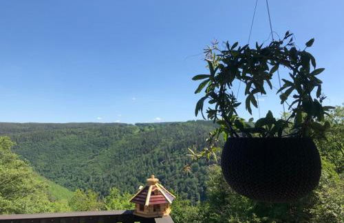 Bungalow Schwarzatalblick in Bad Blankenburg Ortsteil Böhlscheiben - Foto 26