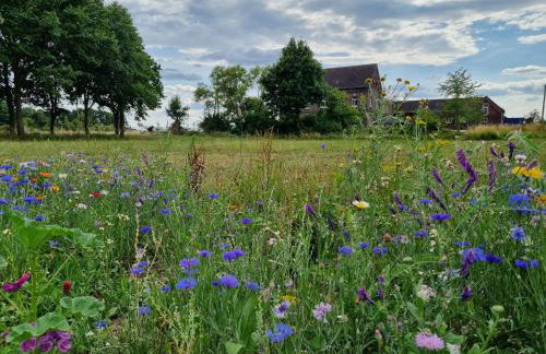 Gutshaus Michelshof - Viel Platz in der Natur - Foto 6