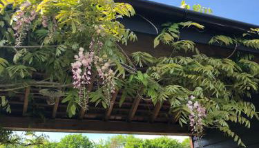 Pool House, farm stay - Foto 4, Garden