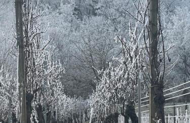 Le Relais du Piémont Ottrott - Mont Sainte-Odile- Champs du feu - Photo 30
