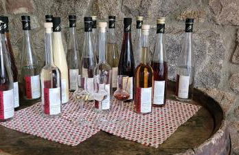 Ferienhof Fischer - Foto 64