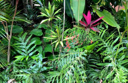 Kalani Hawaii Private Lodging - Foto 77