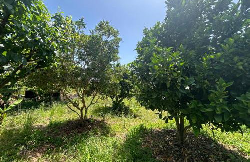 Casa terrera "El Granero" - Foto 10