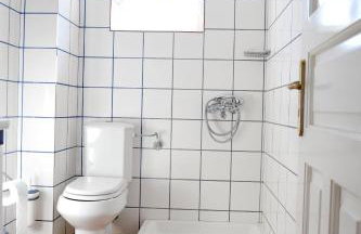 Hydra Erato - Foto 70